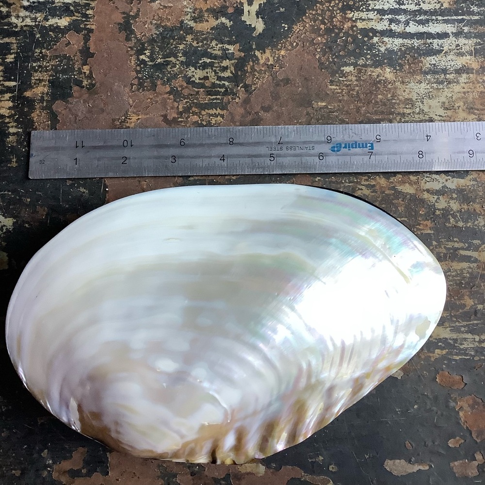 Vintage Large Mother of Pearl Clam Shell and Abalone Box - Picture 6 of 7